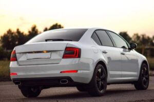 Шкода Октавия А7 вид сзади