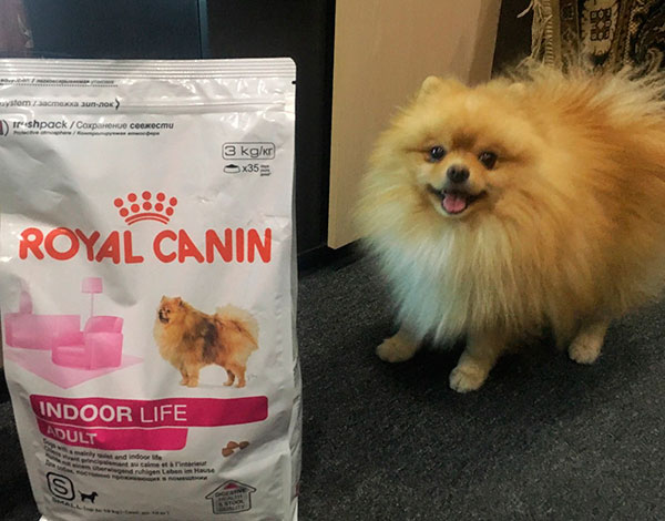 Royal Canin для шпица