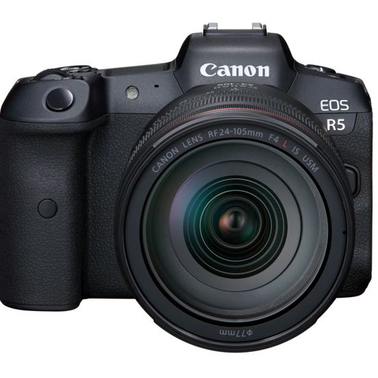 Сравнение фотоаппаратов Canon — от бюджетных до профессиональных