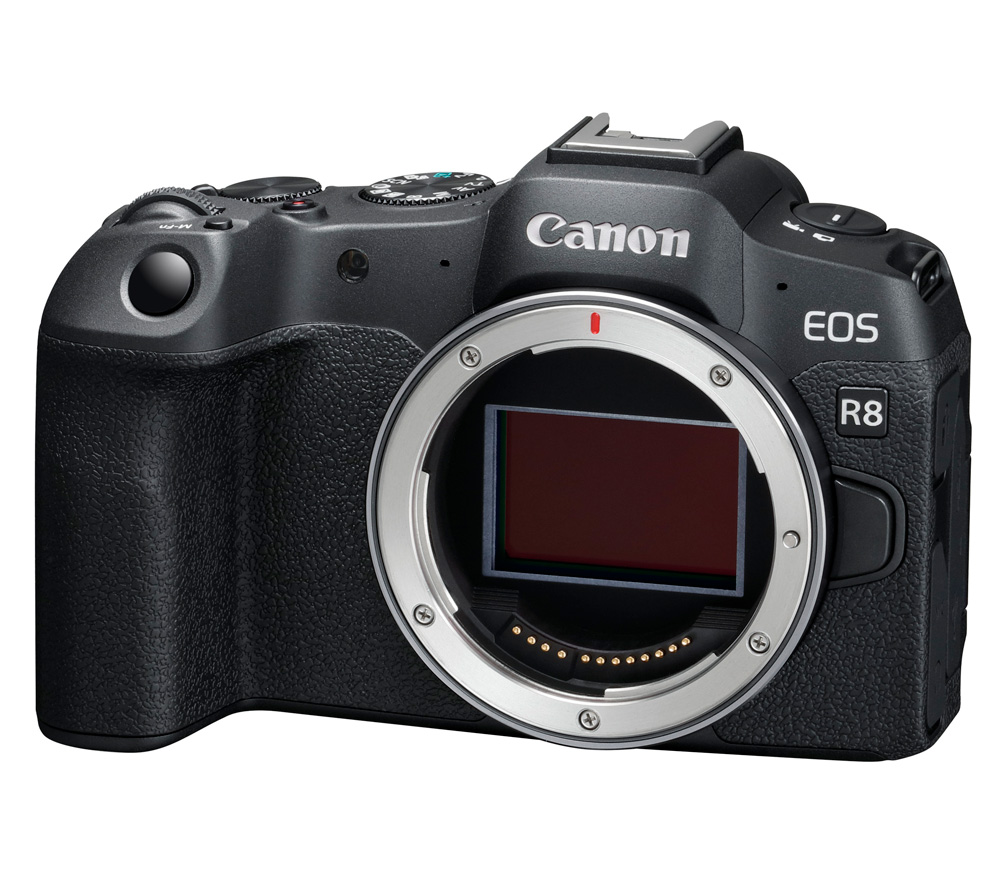 Сравнение фотоаппаратов Canon — от бюджетных до профессиональных