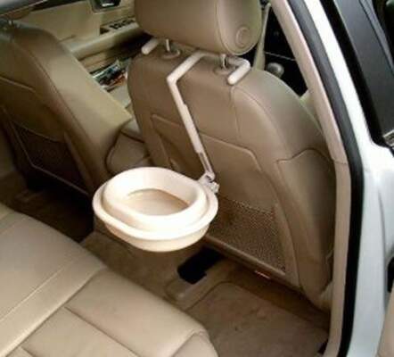 Перевозка животных в авто: правила и лайфхаки